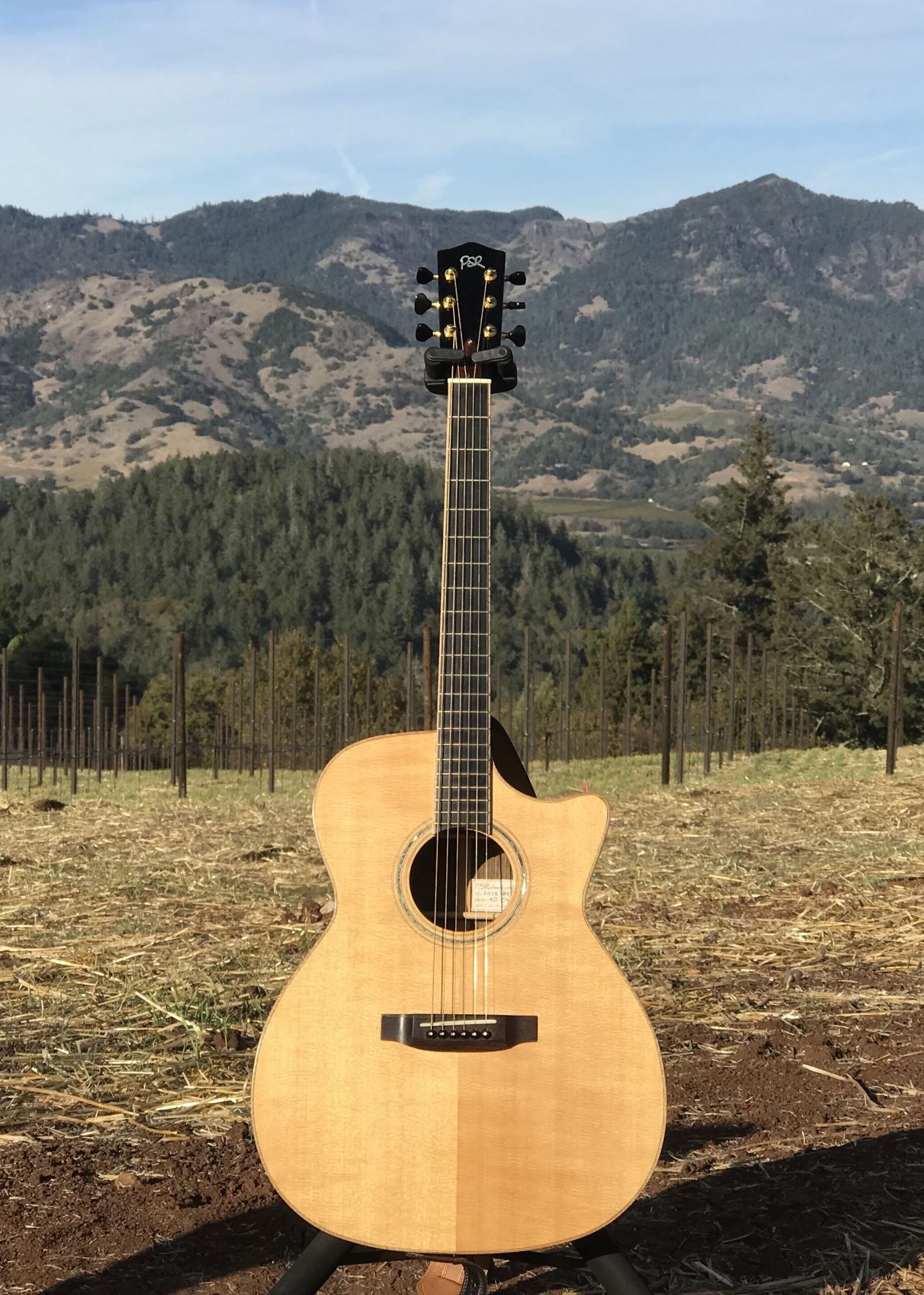 RODMAN GUITARS – We build traditional steel stringed guitars, one at a ...